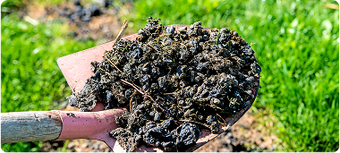 Hauling of Animal Manure